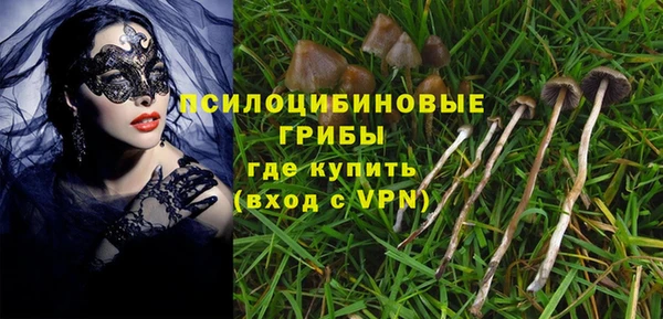 молекула духа Армянск